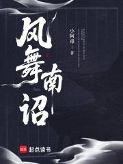 风舞南诏